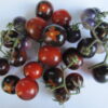 Cherry Variety Pack - Image 2